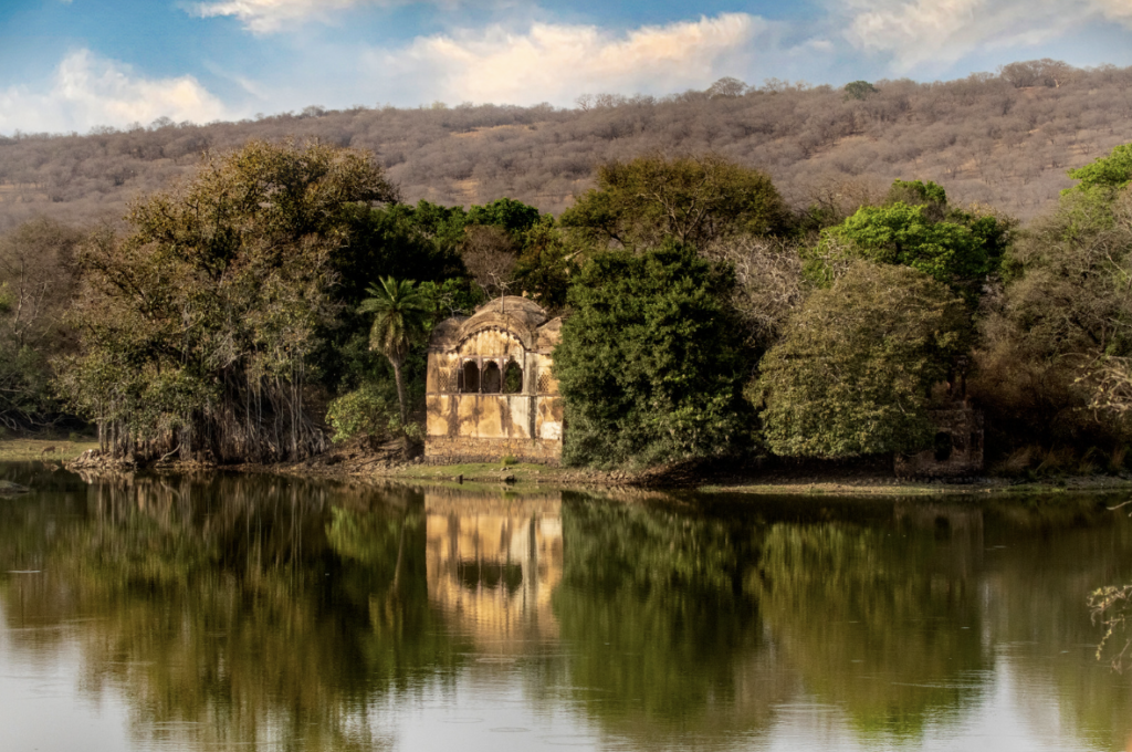 3 Nights in Ranthambore